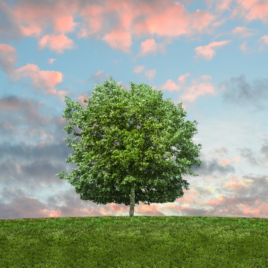 Why "eco-friendly" matters - Curated Joy | Natural Home