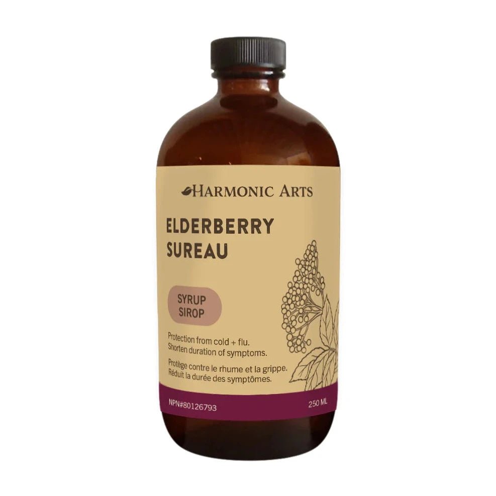 Elderberry Ginger Syrup | Harmonic Arts | 250ml - Curated Joy | Natural Home