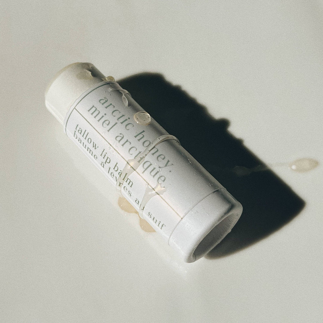 Genesis Arctic Honey Tallow Lip Balm - Curated Joy | Natural Home