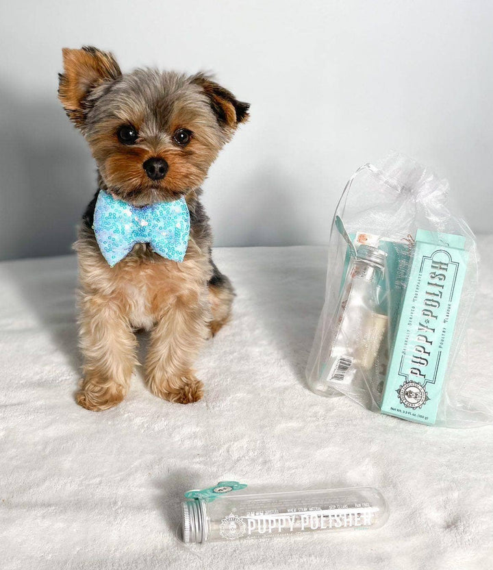 Natural Puppy/Dog Toothpaste - Filet Mignon Flavoured - Curated Joy | Natural Home