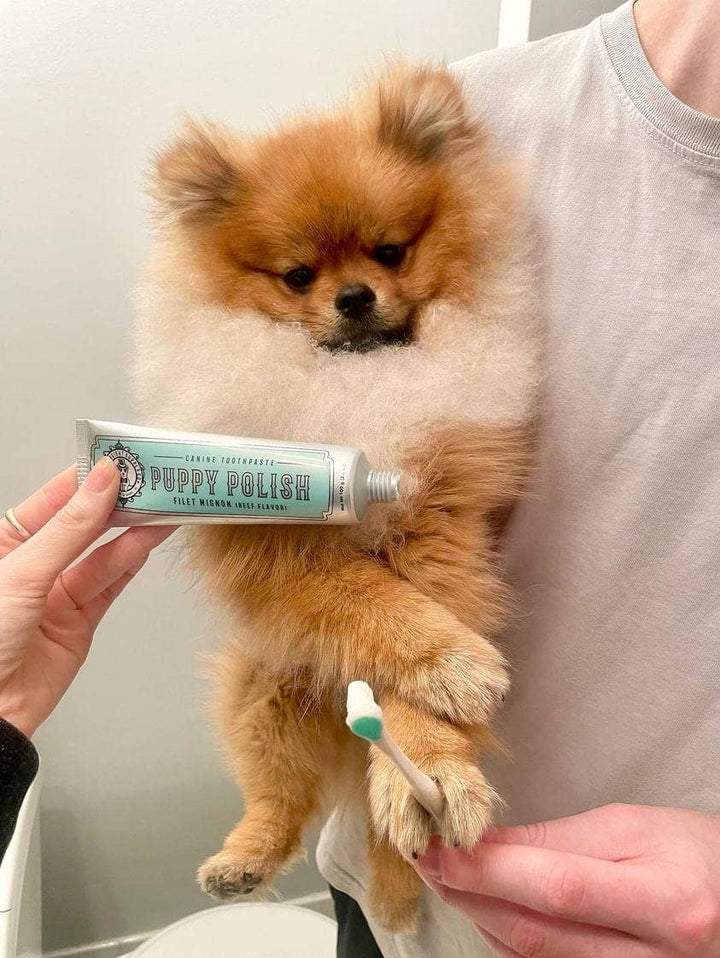 Natural Puppy/Dog Toothpaste - Filet Mignon Flavoured - Curated Joy | Natural Home
