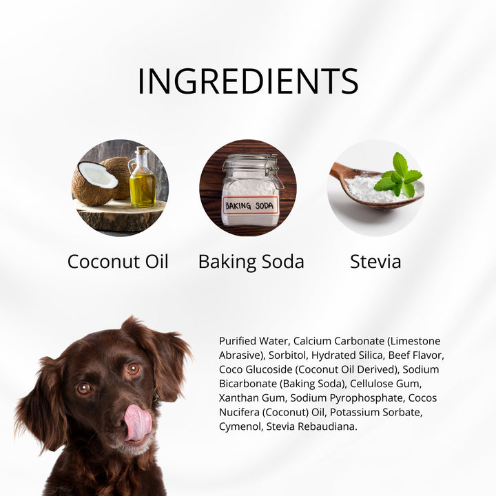 Natural Puppy/Dog Toothpaste - Filet Mignon Flavoured - Curated Joy | Natural Home