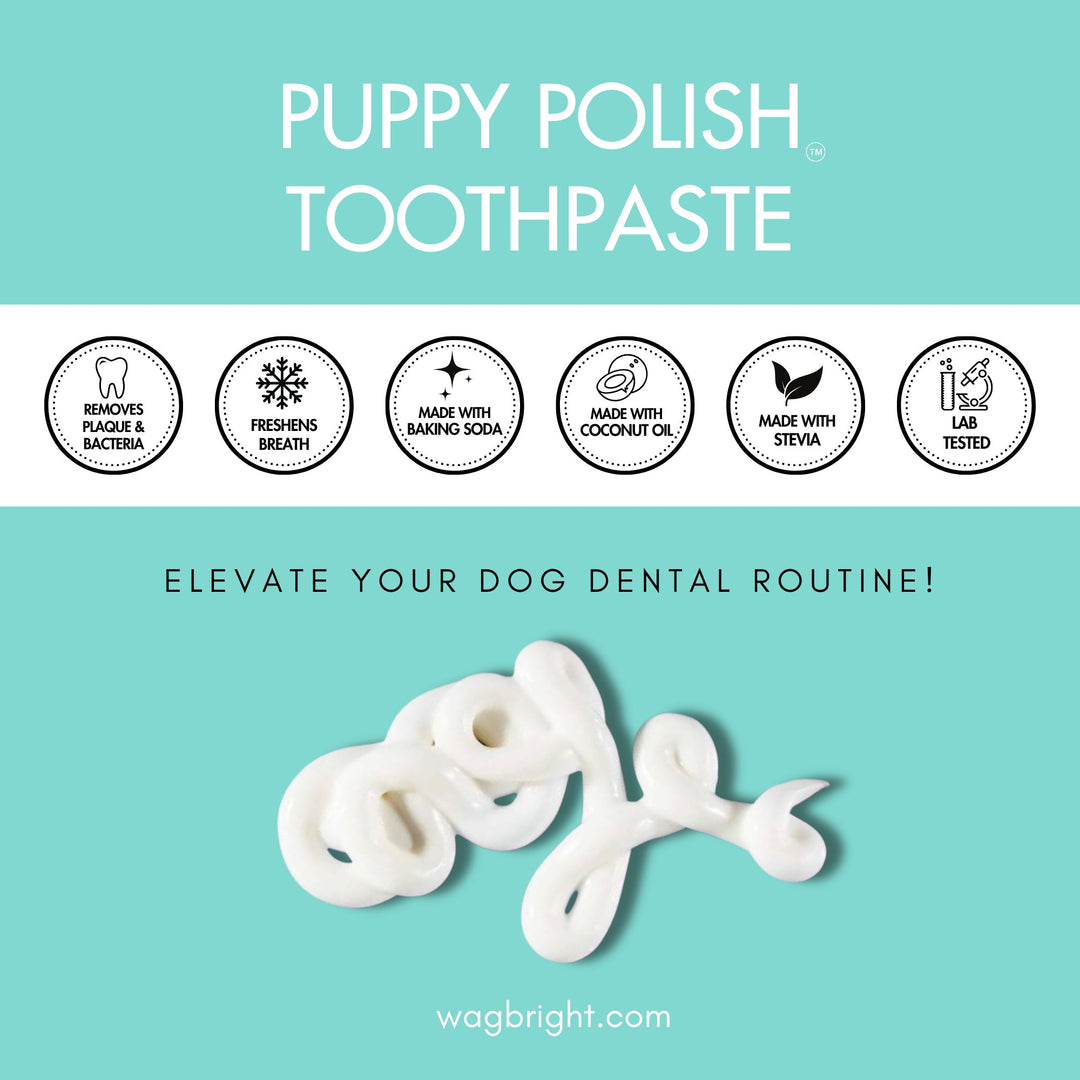 Natural Puppy/Dog Toothpaste - Filet Mignon Flavoured - Curated Joy | Natural Home