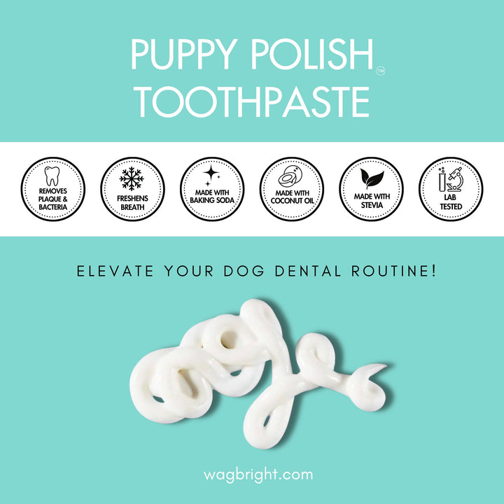 Natural Puppy/Dog Toothpaste - Filet Mignon Flavoured - Curated Joy | Natural Home