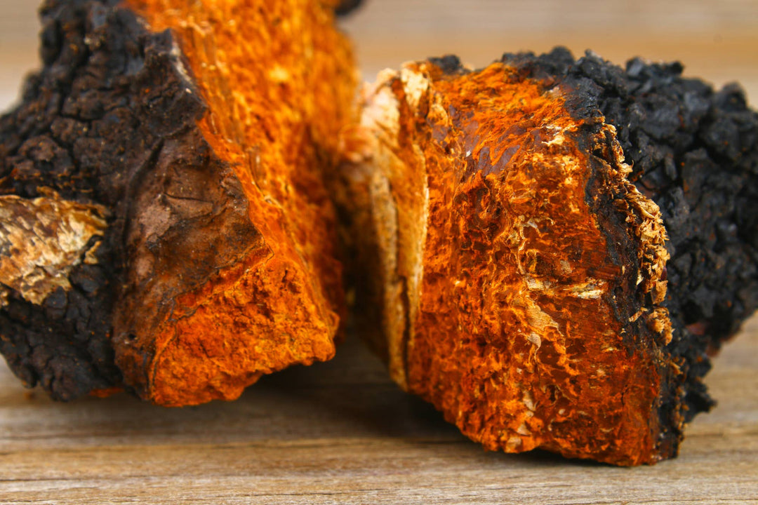 Organic Chaga Mushroom Powder - Curated Joy | Natural Home
