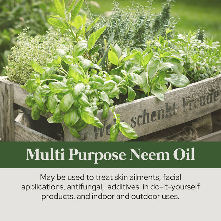 Organic Neem Oil | Gardening & Skin | Cold Pressed | 16 and 32 oz - Curated Joy | Natural Home