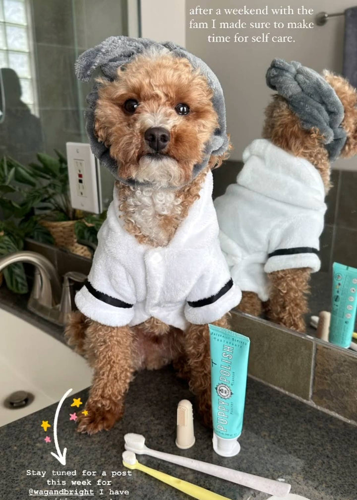 Puppy Polisher Finger Brush (one size) - Curated Joy | Natural Home