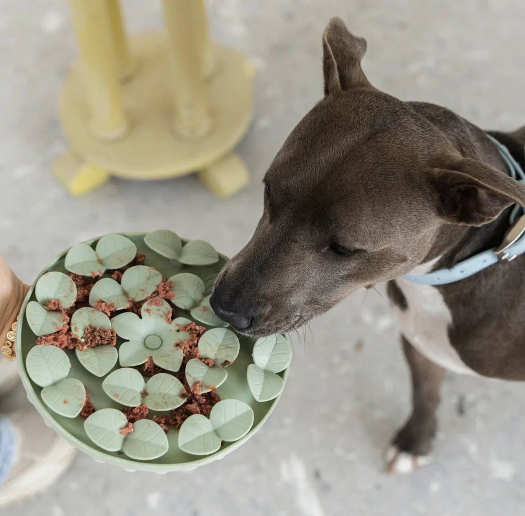 Silicone Treat Mat for Fast Eaters - Curated Joy | Natural Home