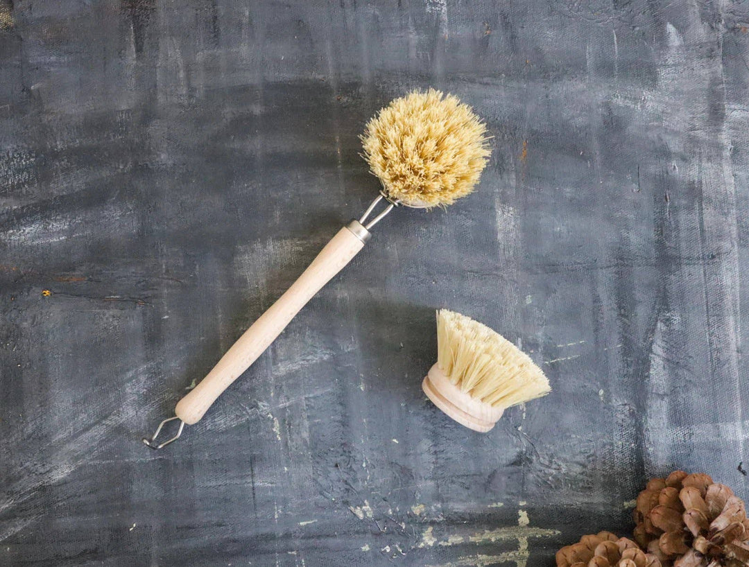 Sisal Dish Brush Refill (Brush Head Only) - Curated Joy | Natural Home