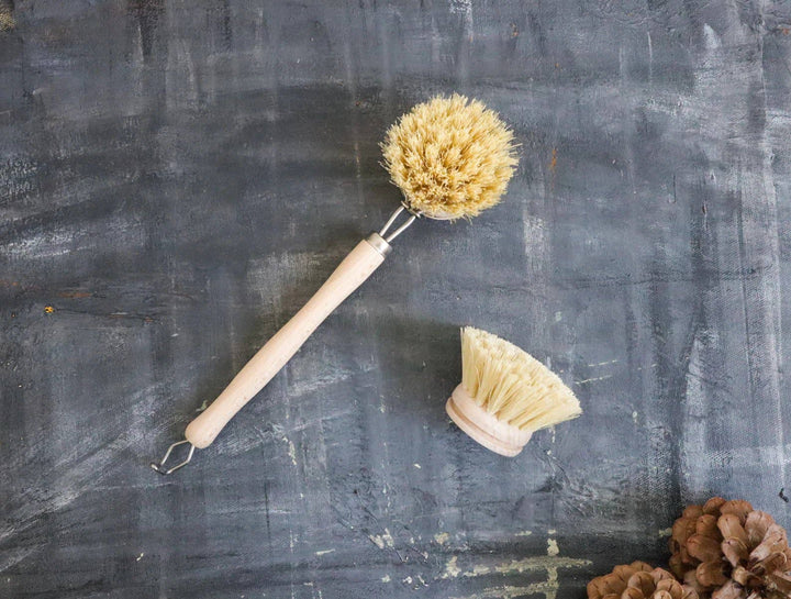 Sisal Dish Brush Refill (Brush Head Only) - Curated Joy | Natural Home